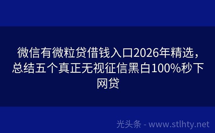 微信有微粒贷借钱入口2026年精选，总结五个真正无视征信黑白100%秒下网贷