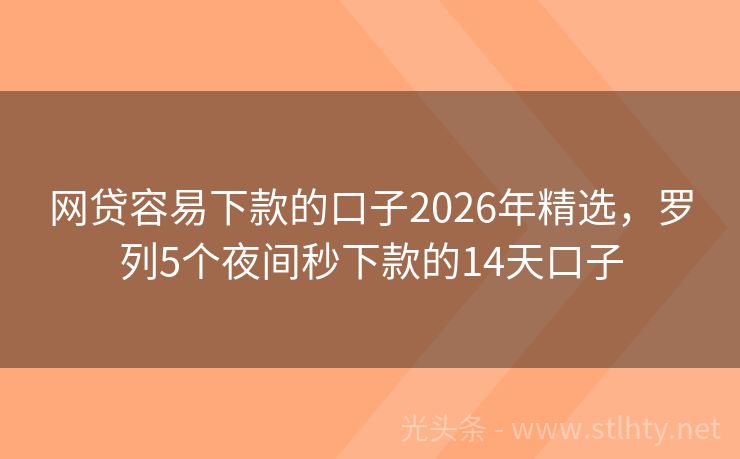 网贷容易下款的口子2026年精选，罗列5个夜间秒下款的14天口子
