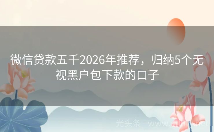 微信贷款五千2026年推荐,归纳5个无视黑户包下款的口子