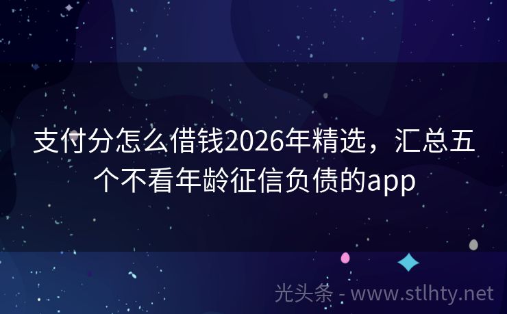 支付分怎么借钱2026年精选,汇总五个不看年龄征信负债的app