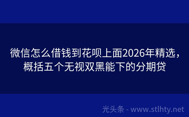 微信怎么借钱到花呗上面2026年精选，概括五个无视双黑能下的分期贷