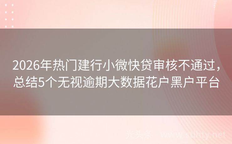 2026年热门建行小微快贷审核不通过，总结5个无视逾期大数据花户黑户平台