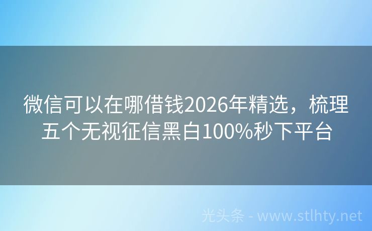 微信可以在哪借钱2026年精选,梳理五个无视征信黑白100%秒下平台