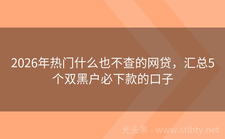 2026年热门什么也不查的网贷，汇总5个双黑户必下款的口子