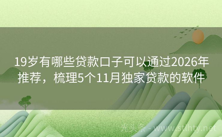 19岁有哪些贷款口子可以通过2026年推荐,梳理5个11月独家贷款的软件