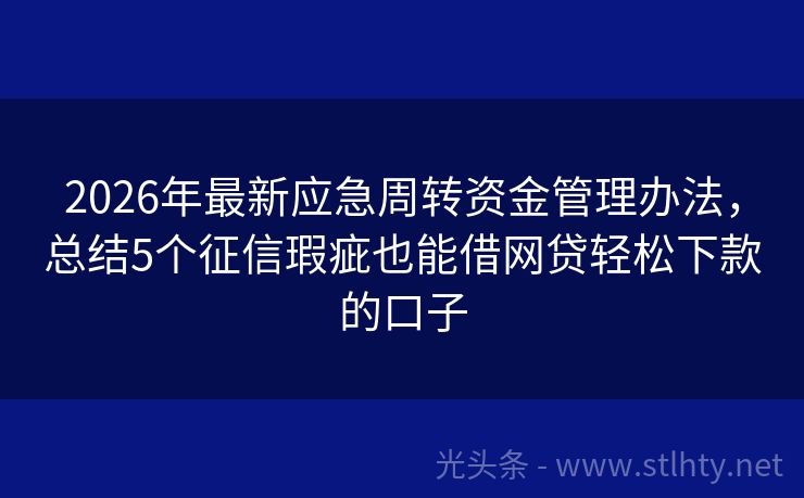 2026年最新应急周转资金管理办法，总结5个征信瑕疵也能借网贷轻松下款的口子