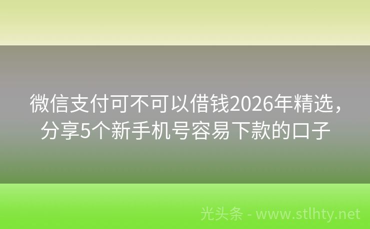 微信支付可不可以借钱2026年精选，分享5个新手机号容易下款的口子
