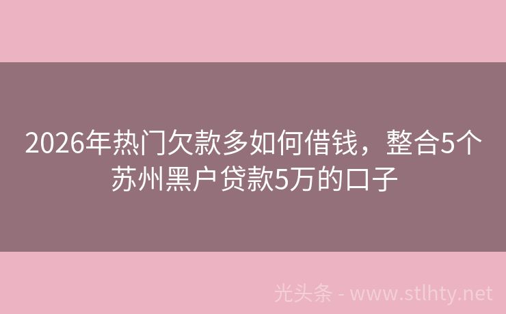2026年热门欠款多如何借钱,整合5个苏州黑户贷款5万的口子