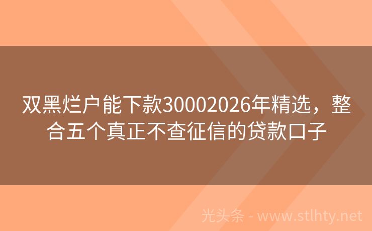 双黑烂户能下款30002026年精选,整合五个真正不查征信的贷款口子
