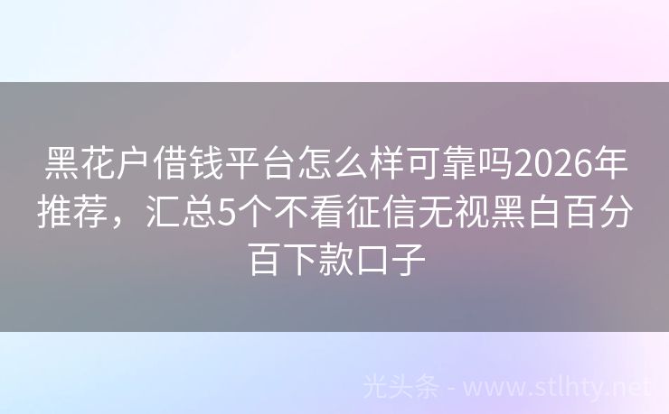 黑花户借钱平台怎么样可靠吗2026年推荐，汇总5个不看征信无视黑白百分百下款口子
