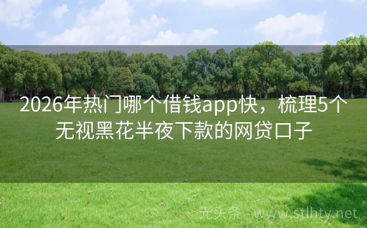 2026年热门哪个借钱app快，梳理5个无视黑花半夜下款的网贷口子
