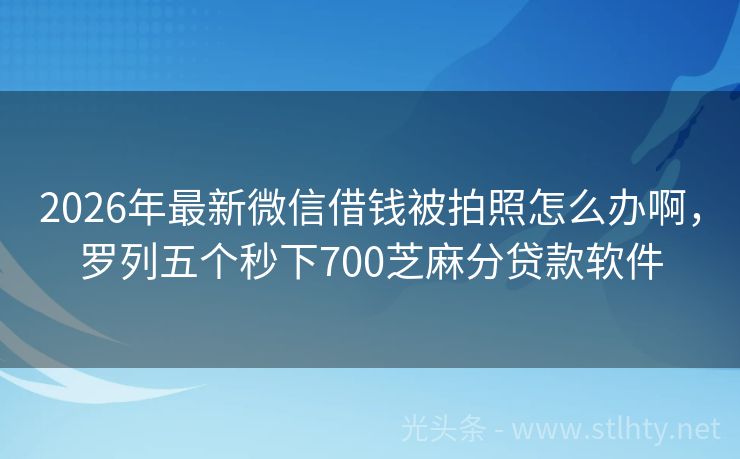 2026年最新微信借钱被拍照怎么办啊，罗列五个秒下700芝麻分贷款软件