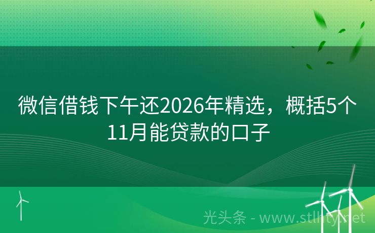 微信借钱下午还2026年精选,概括5个11月能贷款的口子