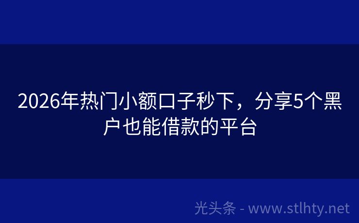 2026年热门小额口子秒下，分享5个黑户也能借款的平台
