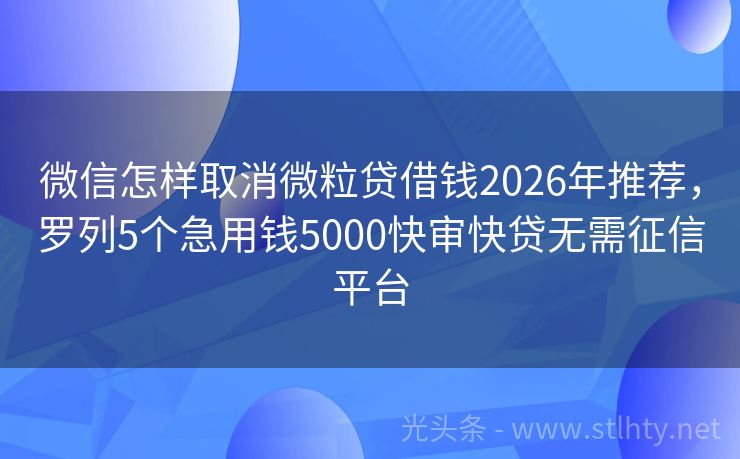微信怎样取消微粒贷借钱2026年推荐，罗列5个急用钱5000快审快贷无需征信平台