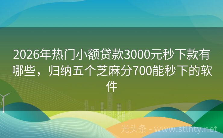 2026年热门小额贷款3000元秒下款有哪些，归纳五个芝麻分700能秒下的软件