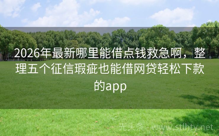 2026年最新哪里能借点钱救急啊,整理五个征信瑕疵也能借网贷轻松下款的app