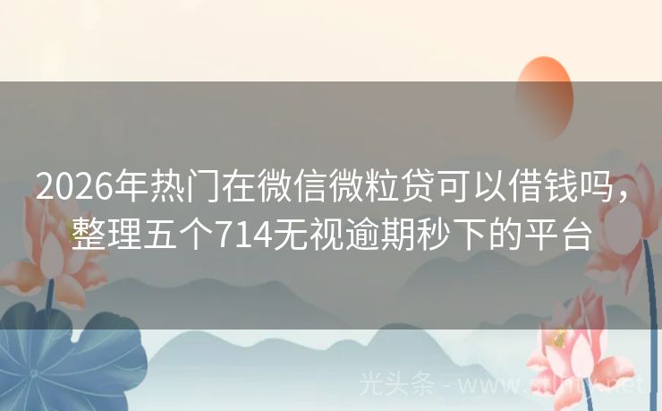 2026年热门在微信微粒贷可以借钱吗,整理五个714无视逾期秒下的平台