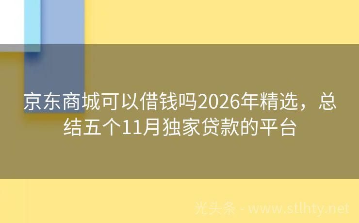 京东商城可以借钱吗2026年精选，总结五个11月独家贷款的平台
