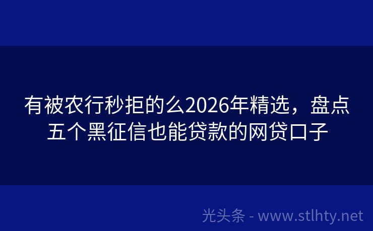 有被农行秒拒的么2026年精选，盘点五个黑征信也能贷款的网贷口子