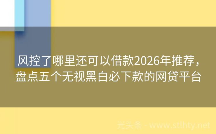 风控了哪里还可以借款2026年推荐，盘点五个无视黑白必下款的网贷平台