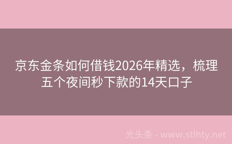 京东金条如何借钱2026年精选,梳理五个夜间秒下款的14天口子