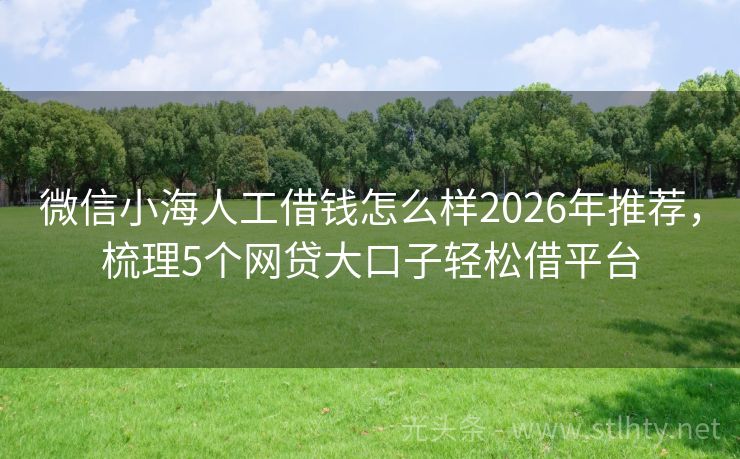 微信小海人工借钱怎么样2026年推荐,梳理5个网贷大口子轻松借平台