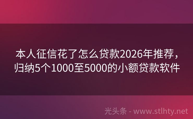本人征信花了怎么贷款2026年推荐，归纳5个1000至5000的小额贷款软件