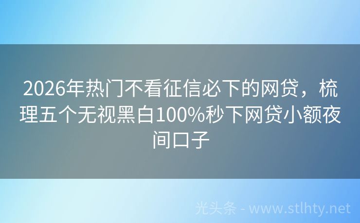 2026年热门不看征信必下的网贷，梳理五个无视黑白100%秒下网贷小额夜间口子