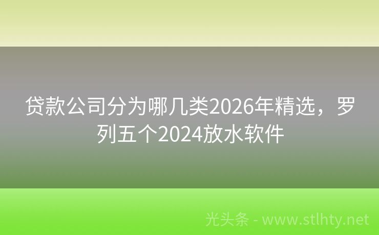 贷款公司分为哪几类2026年精选，罗列五个2024放水软件