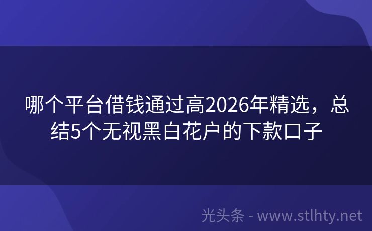 哪个平台借钱通过高2026年精选,总结5个无视黑白花户的下款口子