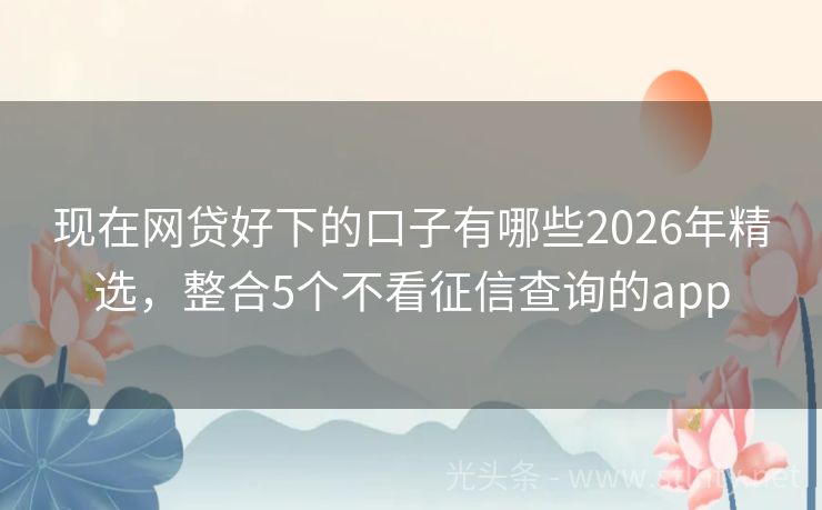 现在网贷好下的口子有哪些2026年精选，整合5个不看征信查询的app