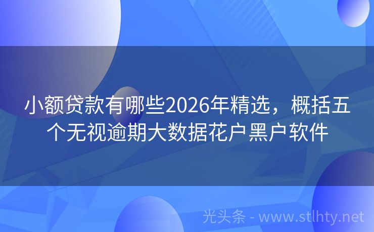 小额贷款有哪些2026年精选，概括五个无视逾期大数据花户黑户软件