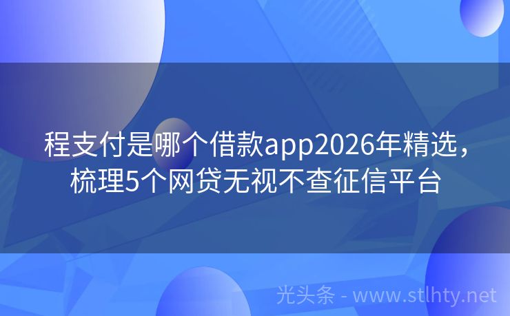程支付是哪个借款app2026年精选，梳理5个网贷无视不查征信平台