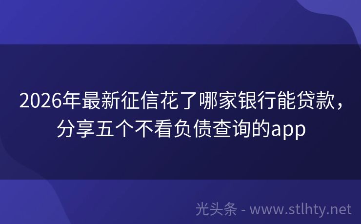 2026年最新征信花了哪家银行能贷款，分享五个不看负债查询的app