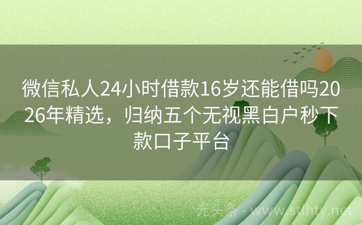 微信私人24小时借款16岁还能借吗2026年精选，归纳五个无视黑白户秒下款口子平台