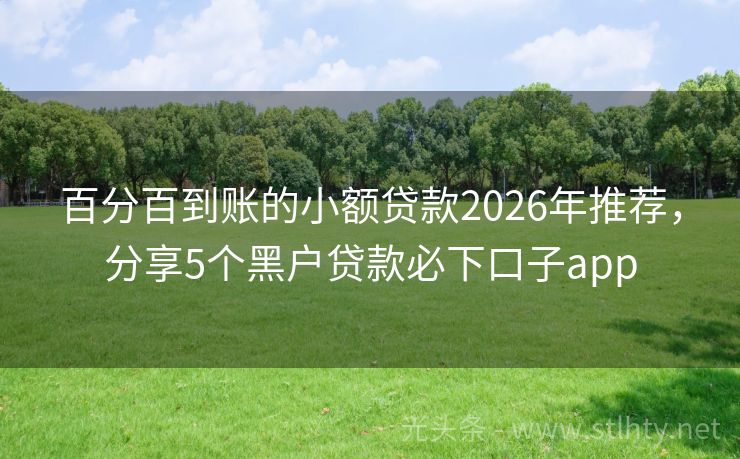 百分百到账的小额贷款2026年推荐，分享5个黑户贷款必下口子app
