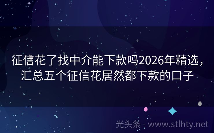 征信花了找中介能下款吗2026年精选，汇总五个征信花居然都下款的口子