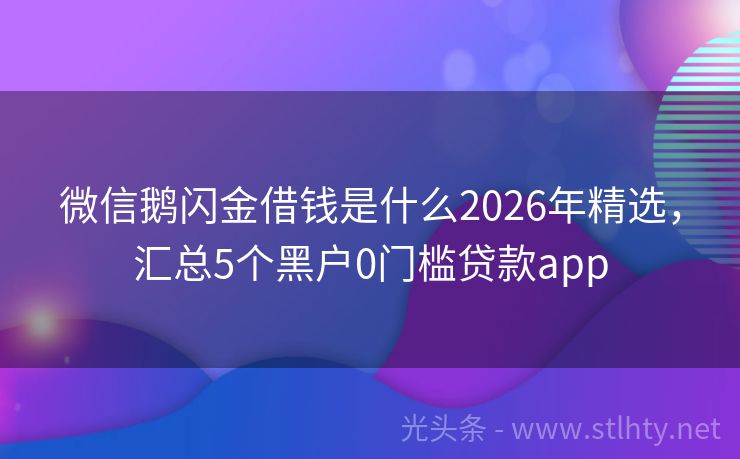 微信鹅闪金借钱是什么2026年精选，汇总5个黑户0门槛贷款app
