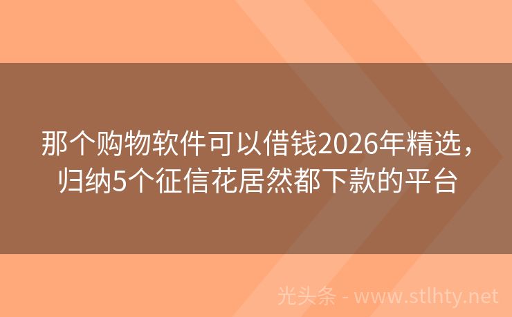那个购物软件可以借钱2026年精选，归纳5个征信花居然都下款的平台
