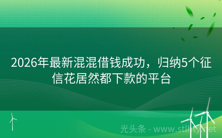 2026年最新混混借钱成功，归纳5个征信花居然都下款的平台