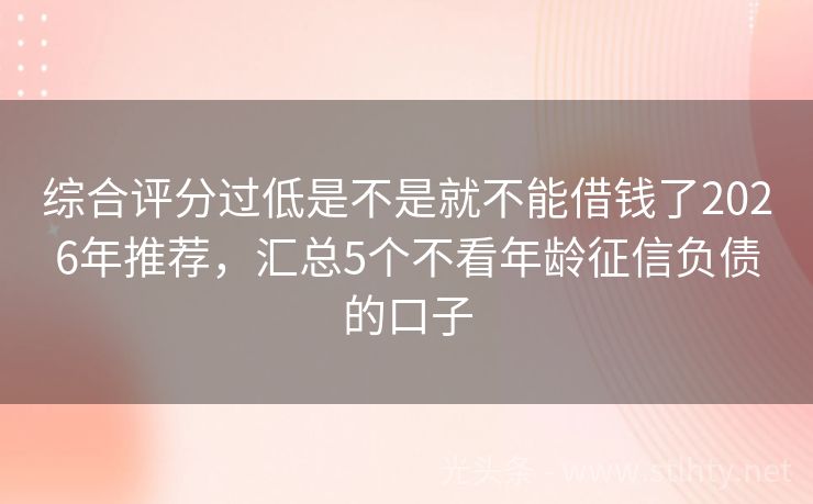 综合评分过低是不是就不能借钱了2026年推荐，汇总5个不看年龄征信负债的口子