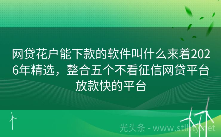 网贷花户能下款的软件叫什么来着2026年精选，整合五个不看征信网贷平台放款快的平台