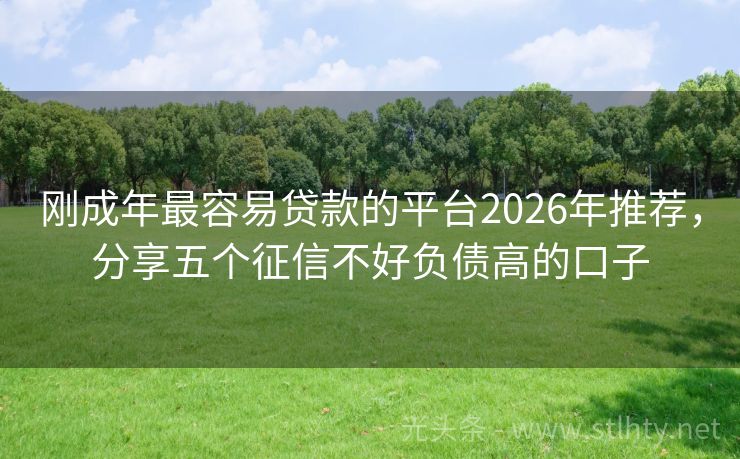 刚成年最容易贷款的平台2026年推荐，分享五个征信不好负债高的口子