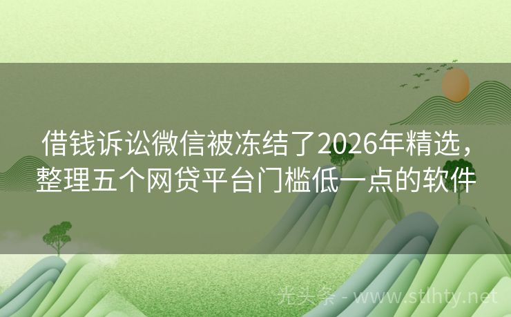 借钱诉讼微信被冻结了2026年精选，整理五个网贷平台门槛低一点的软件