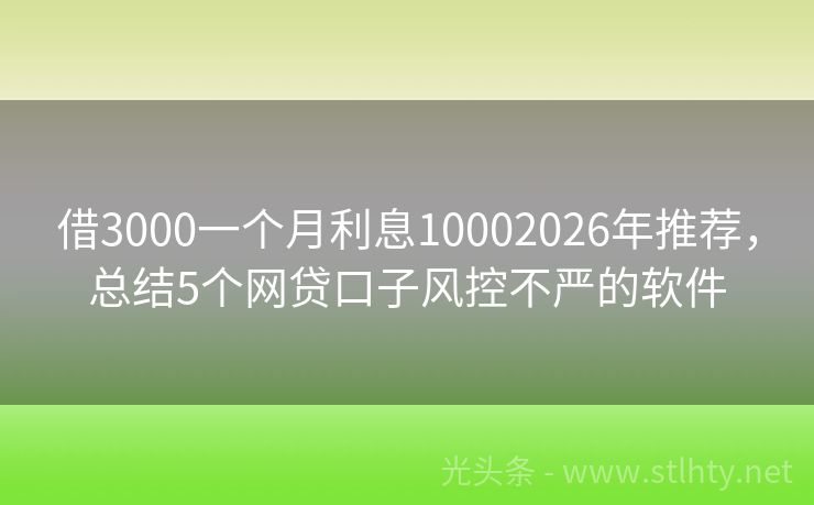 借3000一个月利息10002026年推荐，总结5个网贷口子风控不严的软件