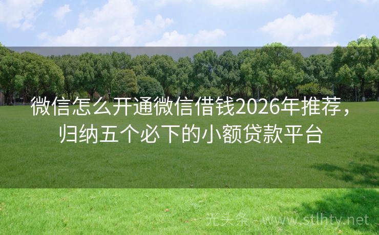 微信怎么开通微信借钱2026年推荐，归纳五个必下的小额贷款平台