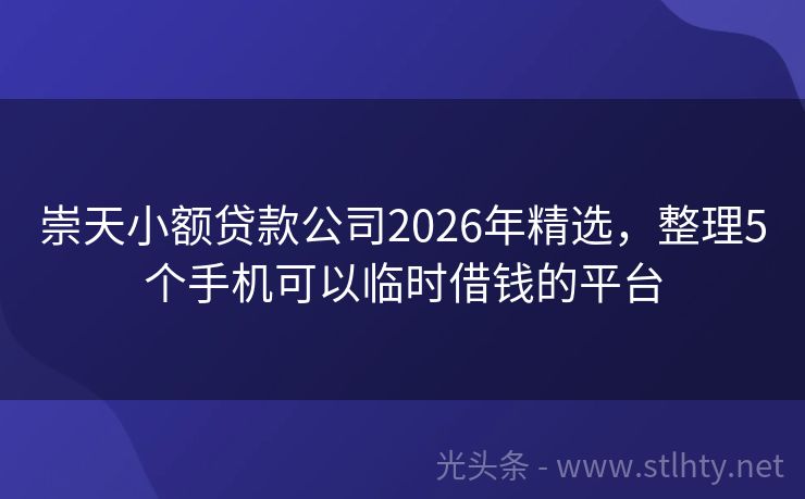 崇天小额贷款公司2026年精选，整理5个手机可以临时借钱的平台
