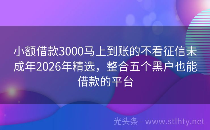 小额借款3000马上到账的不看征信未成年2026年精选，整合五个黑户也能借款的平台