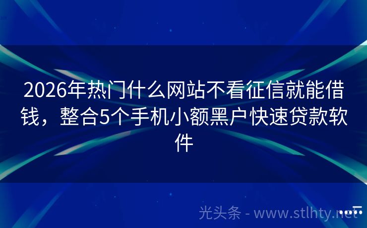 2026年热门什么网站不看征信就能借钱，整合5个手机小额黑户快速贷款软件
